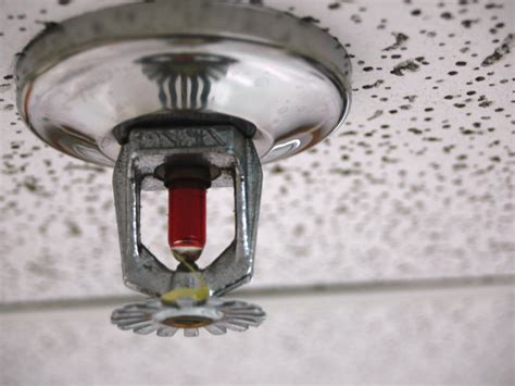 fire sprinkler cebu|List of Best Fire Protection Companies in Cebu City.